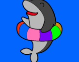 Dibuix Dofí amb flotador pintat per DAVID RIFE