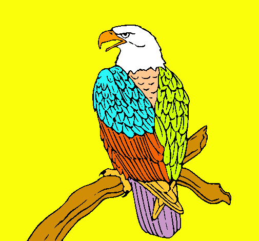 Dibuix Àguila en una branca  pintat per joelpagaro