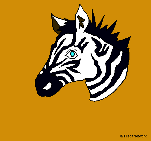 Dibuix Zebra II pintat per claudia