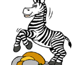 Dibuix Zebra saltant pedres pintat per lidia