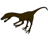 Dibuix Velociraptor II  pintat per akhor
