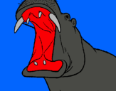 Dibuix Hipopòtam amb la boca oberta pintat per marc
