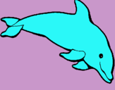 Dibuix Dofí content pintat per MOPI Y PERLA