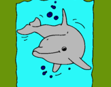 Dibuix Dofí pintat per MARC