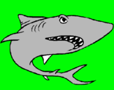 Dibuix Tiburón pintat per julio