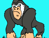 Dibuix Goril·la pintat per pol