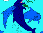 Dibuix Dofins jugant pintat per teresa