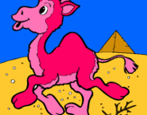 Dibuix Camell pintat per bruna