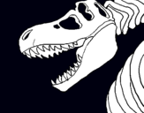 Dibuix Esquelet tiranosauri rex pintat per ccb