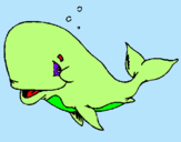 Dibuix Balena tímida pintat per susana