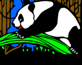 Dibuix Ós panda menjant pintat per marc