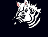 Dibuix Zebra II pintat per pol