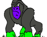 Dibuix Goril·la pintat per miquel