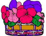 Dibuix Cistell de flors 12 pintat per ame la mejor