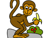 Dibuix Mono pintat per lidia