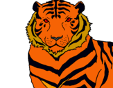 Dibuix Tigre pintat per ana