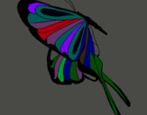 Dibuix Papallona amb grans ales  pintat per anònim