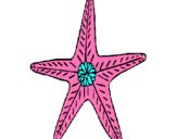Dibuix Estrella de mar pintat per Aldo