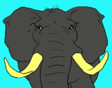 Dibuix Elefant africà pintat per jùlia