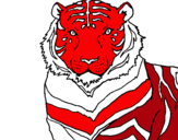 Dibuix Tigre pintat per ALEX