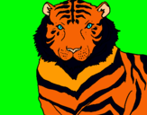 Dibuix Tigre pintat per roger@
