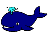 Dibuix Balena expulsant aigua pintat per balena