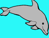 Dibuix Dofí content pintat per eric    juanola