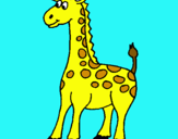 Dibuix Girafa pintat per noa