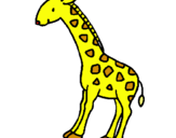 Dibuix Girafa pintat per marta