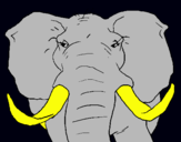 Dibuix Elefant africà pintat per didac2005