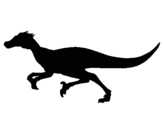 Dibuix Velociraptor  pintat per UGTgseht3riuheyufn