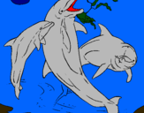 Dibuix Dofins jugant pintat per anoima  umana