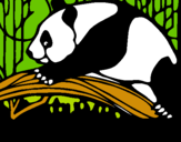 Dibuix Ós panda menjant pintat per marti   guai