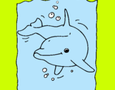 Dibuix Dofí pintat per TOMAS