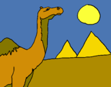 Dibuix Camell pintat per emma  navarro alvarez