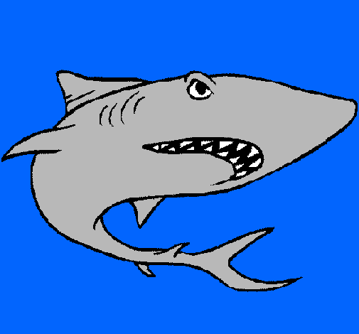 Dibuix Tiburón pintat per antonio