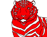 Dibuix Tigre pintat per joan andreu
