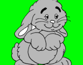 Dibuix Conill afectuós   pintat per joel  marti