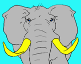 Dibuix Elefant africà pintat per laura tomas