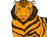 Dibuix Tigre pintat per lopez
