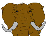 Dibuix Elefant africà pintat per maria-irene