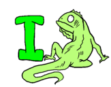 Dibuix Iguana pintat per carla de lamo