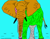 Dibuix Elefant pintat per clara ñpo899uhy okuuuojop