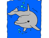 Dibuix Dofí pintat per clara casañas