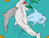 Dibuix Dofins jugant pintat per sara puig blanco
