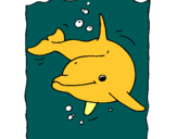 Dibuix Dofí pintat per marta