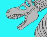 Dibuix Esquelet tiranosauri rex pintat per jaume