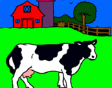 Dibuix Vaca pasturant pintat per tomeu