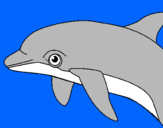 Dibuix Dofí pintat per berta diez pi