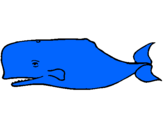 Dibuix Balena blava pintat per hugo